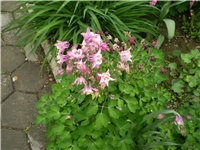 80697f59-Picture 5870.jpg